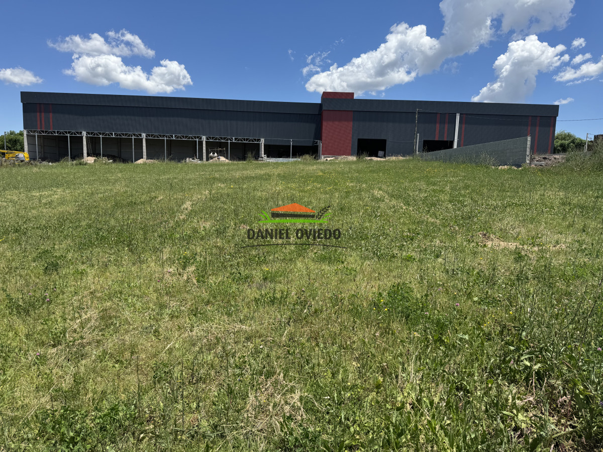 Terreno ID.322/Terreno-Alto-y-Nivelado--600-m²-a-Metros-de-Av.-Batlle-y-Ordóñez - Terreno Alto y Nivelado — 600 m² a Metros de Av. Batlle y Ordóñez