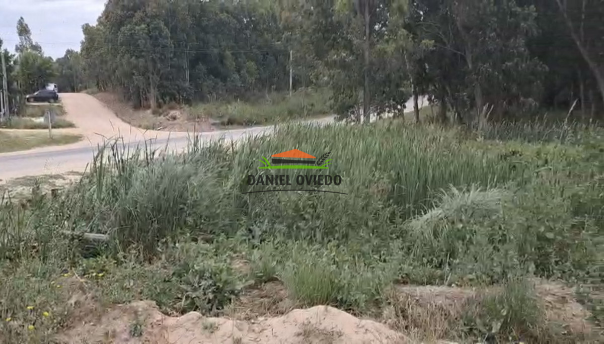 Terreno ID.326/Gran-terreno-en-venta-en-Luis-Sambucetti,-El-Tesoro. - Gran terreno en venta en Luis Sambucetti, El Tesoro.