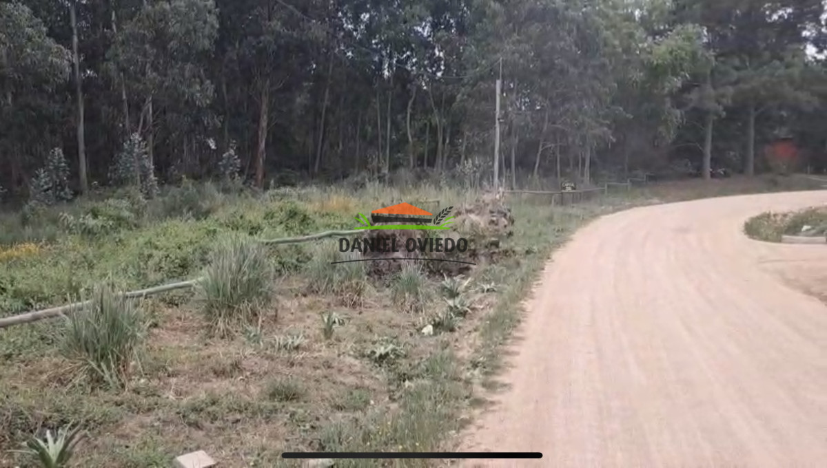 Terreno ID.320/Gran-terreno-en-esquina-en-Camino-del-Cerro-Eguzquiza,-El-Tesoro. - Gran terreno en esquina en Camino del Cerro Eguzquiza, El Tesoro.