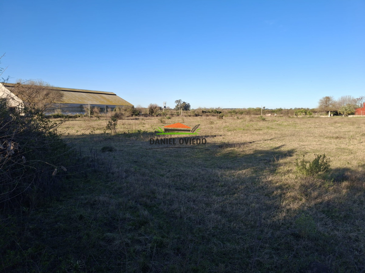 Terreno ID.250/Gran-terreno-en-venta-en-Polo-Industrial-y-Logistico-Nueva-Palmira. - Gran terreno en venta en Polo Industrial y Logistico Nueva Palmira.
