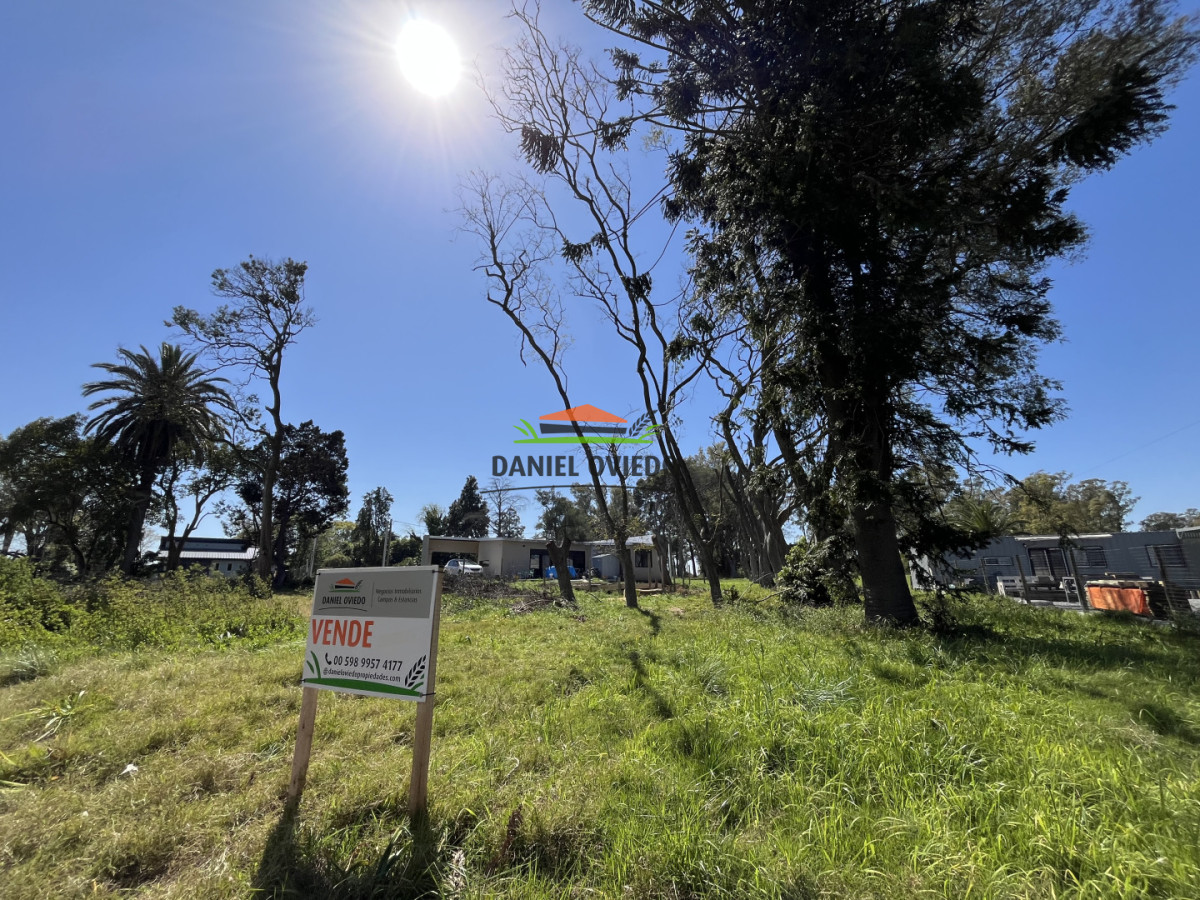 Terreno ID.80/Terreno-N-20-en-Urbanizaci - Terreno N 20 en Urbanización Parque Jousten.