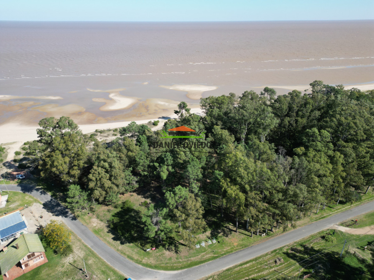 Terreno ID.379/Terreno-de-14.570-m - Terreno de 14.570 m², frente al mar en Santa Regina | Alto potencial de desarrollo