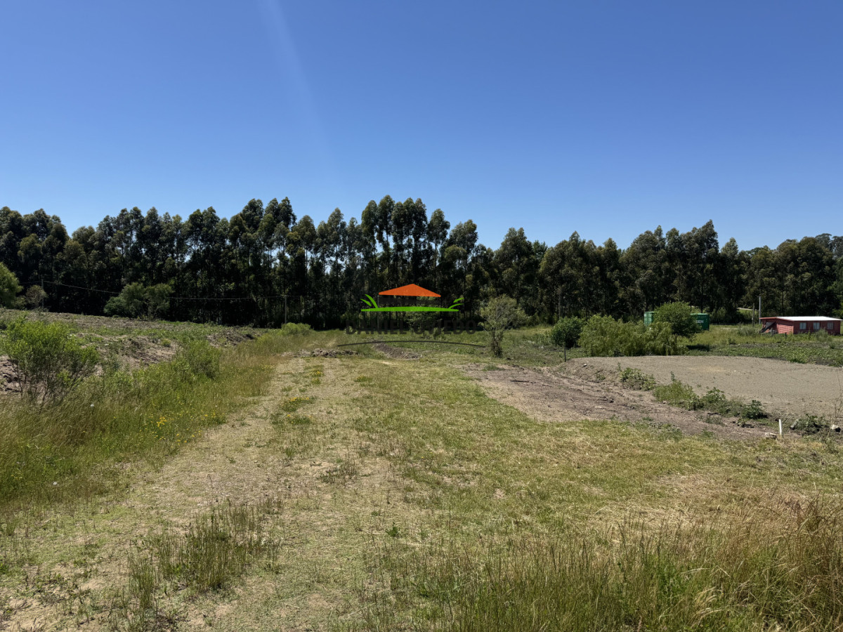 Terreno ID.342/Terrenos-en-venta-en-Rosario---Lotes-a-precio-accesible - Terrenos en venta en Rosario - Lotes a precio accesible