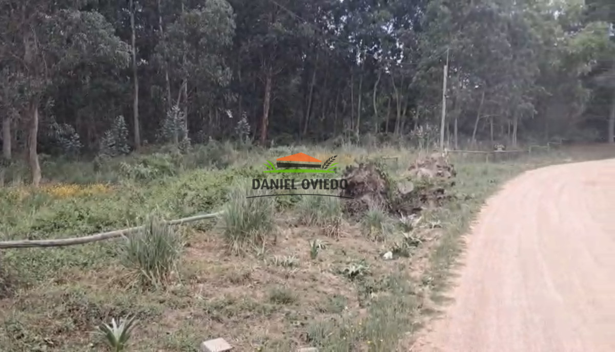 Terreno ID.320/Gran-terreno-en-esquina-en-Camino-del-Cerro-Eguzquiza,-El-Tesoro. - Gran terreno en esquina en Camino del Cerro Eguzquiza, El Tesoro.