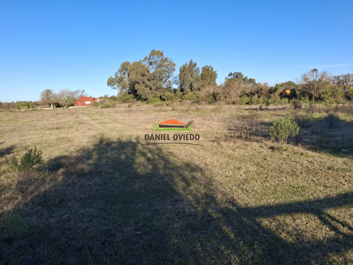 Terreno ID.250/Gran-terreno-en-venta-en-Polo-Industrial-y-Logistico-Nueva-Palmira. - Gran terreno en venta en Polo Industrial y Logistico Nueva Palmira.