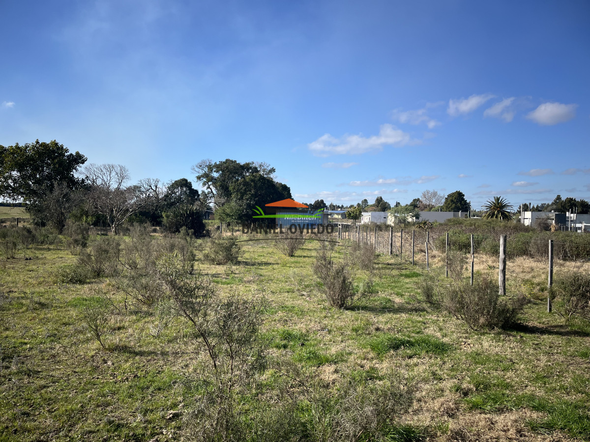 Terreno ID.232/Excelente-lote-en-venta-de-1.538-en-Urbanización-San-Andrés. - Excelente lote en venta de 1.538 en Urbanización San Andrés.