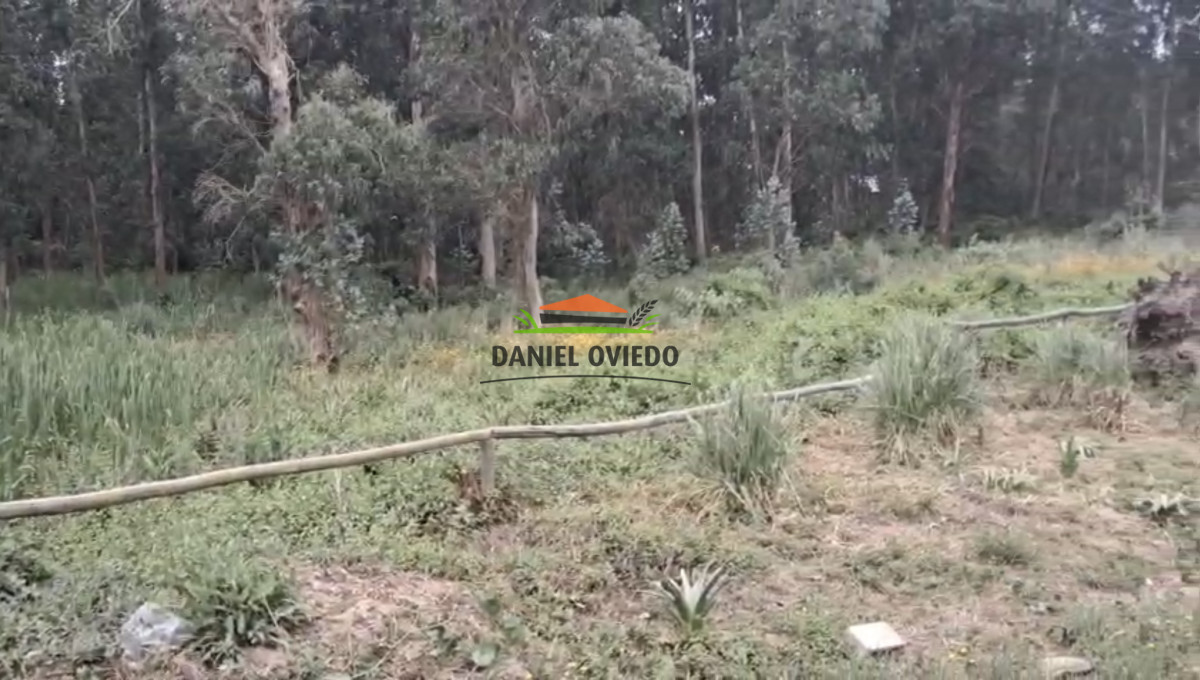 Terreno ID.320/Gran-terreno-en-esquina-en-Camino-del-Cerro-Eguzquiza,-El-Tesoro. - Gran terreno en esquina en Camino del Cerro Eguzquiza, El Tesoro.