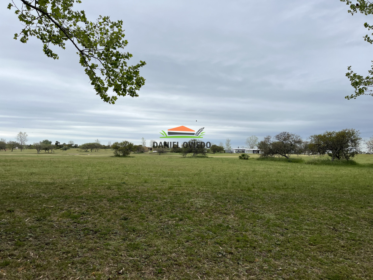 Terreno ID.185 - Oportunidad lote en venta en el Club de Golf Carmelo.