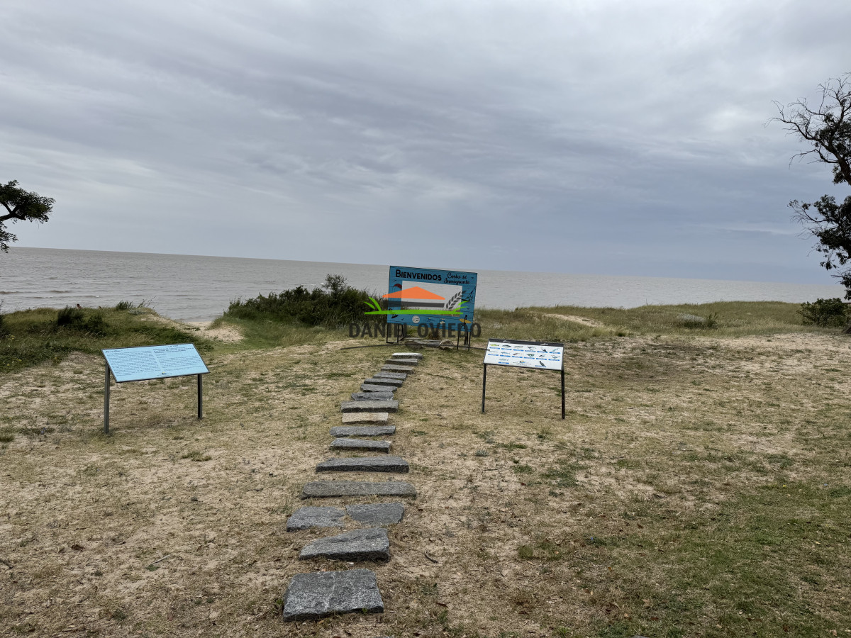 Terreno ID.318/Terreno-de-500-m²-en-entorno-natural---Playa-Fomento - Terreno de 500 m² en entorno natural - Playa Fomento