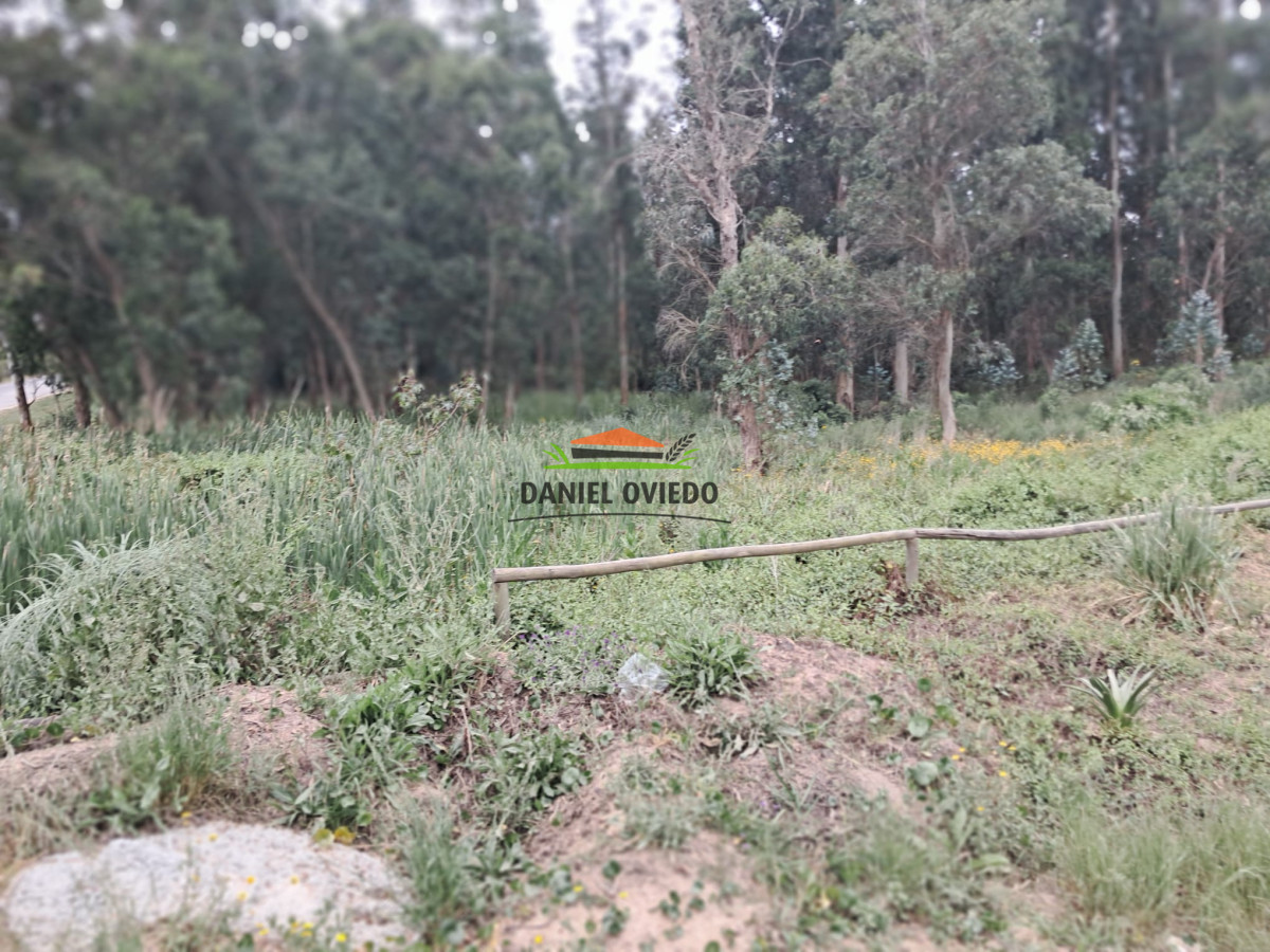 Terreno ID.326/Gran-terreno-en-venta-en-Luis-Sambucetti,-El-Tesoro. - Gran terreno en venta en Luis Sambucetti, El Tesoro.