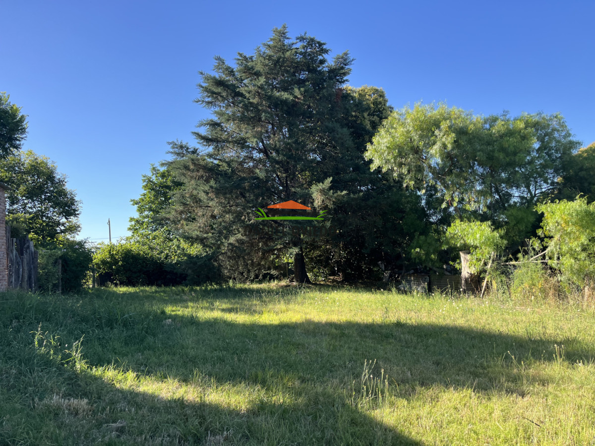 Terreno ID.331/Terreno-520-m - Terreno 520 m² a 1/2 cuadra de Av. Batlle y Ordóñez - Nueva Helvecia