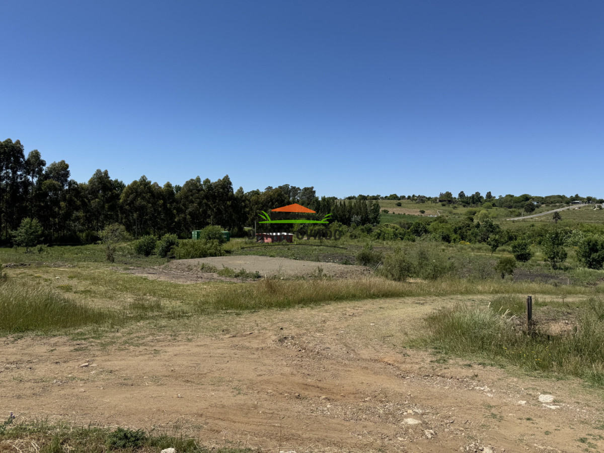 Terreno ID.342/Terrenos-en-venta-en-Rosario---Lotes-a-precio-accesible - Terrenos en venta en Rosario - Lotes a precio accesible