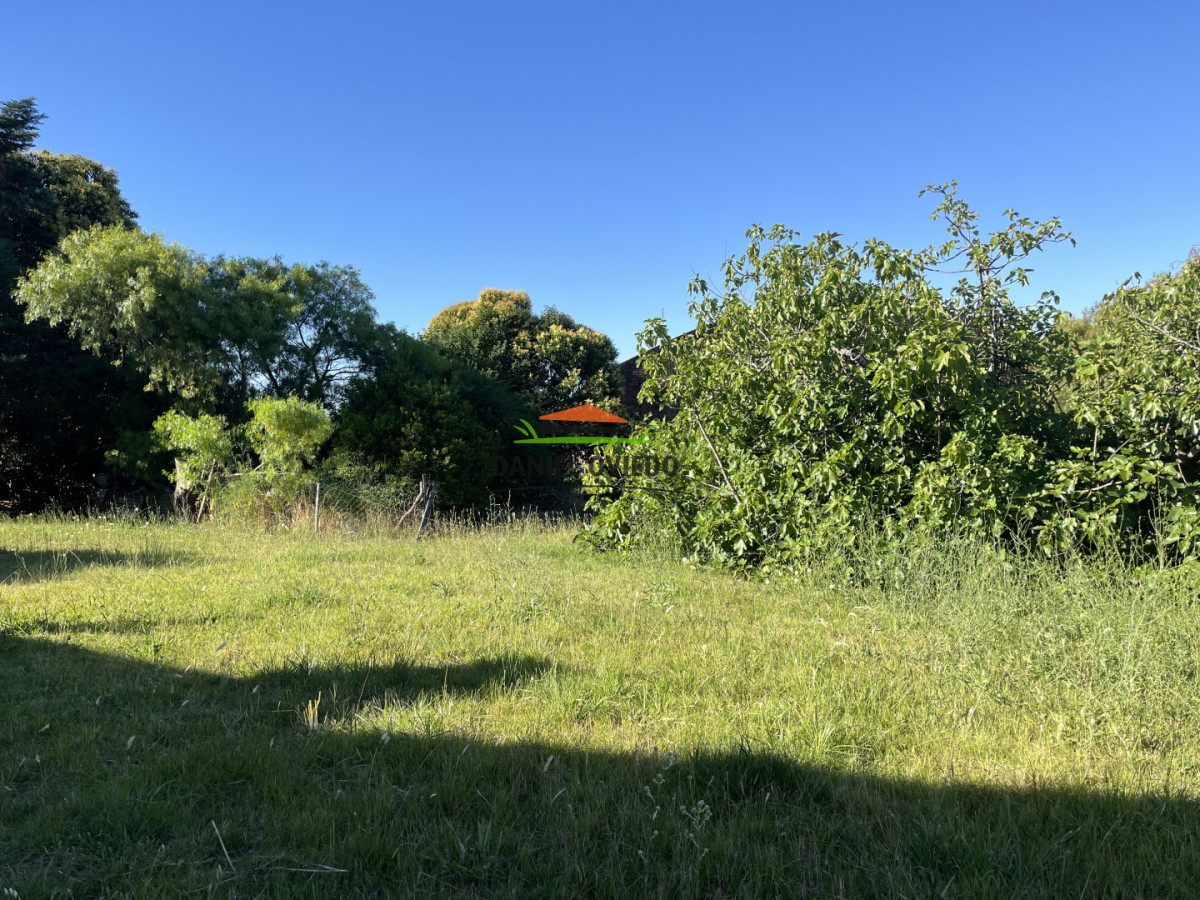 Terreno ID.331/Terreno-520-m - Terreno 520 m² a 1/2 cuadra de Av. Batlle y Ordóñez - Nueva Helvecia