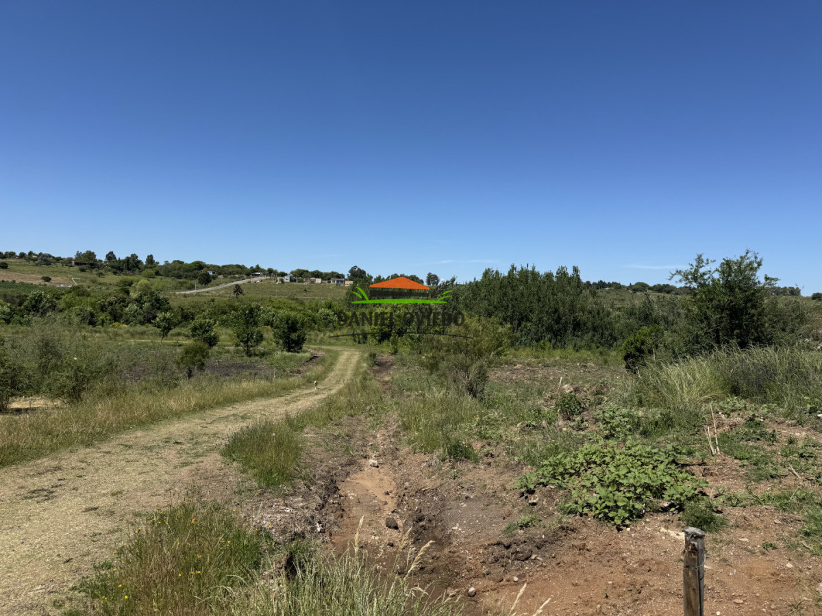 Terreno ID.342/Terrenos-en-venta-en-Rosario---Lotes-a-precio-accesible - Terrenos en venta en Rosario - Lotes a precio accesible