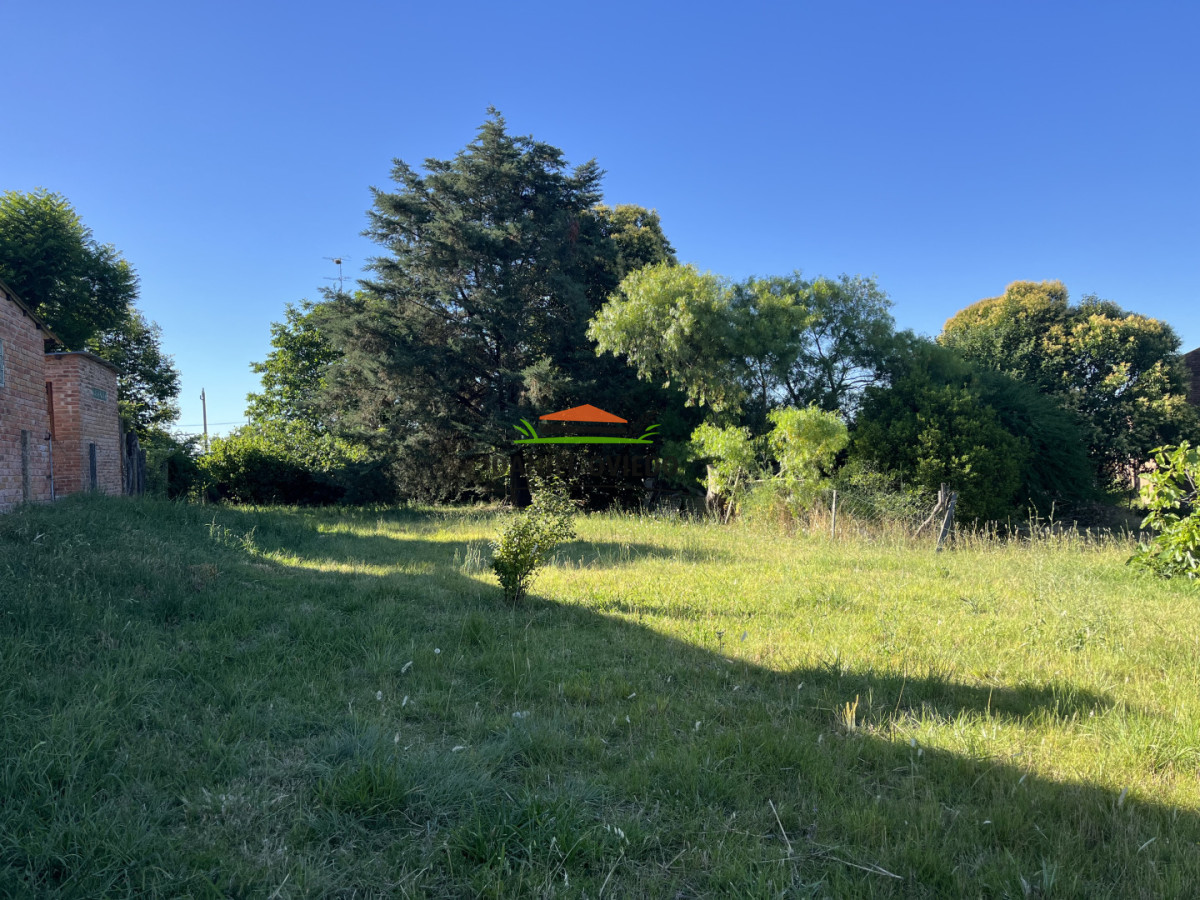 Terreno ID.331/Terreno-520-m - Terreno 520 m² a 1/2 cuadra de Av. Batlle y Ordóñez - Nueva Helvecia