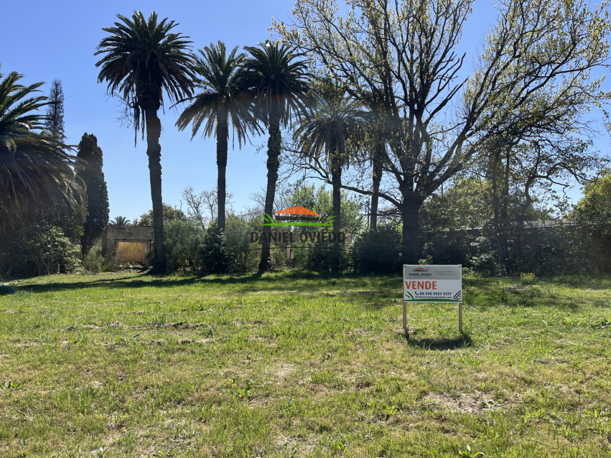 Terreno ID.81/Terreno-N-5-manzana-E-en-Urbanizaci - Terreno N 5 manzana E en Urbanización Parque Jousten.