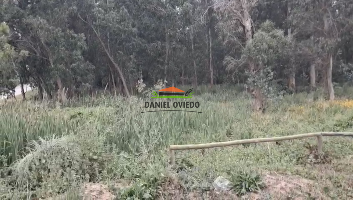 Terreno ID.320/Gran-terreno-en-esquina-en-Camino-del-Cerro-Eguzquiza,-El-Tesoro. - Gran terreno en esquina en Camino del Cerro Eguzquiza, El Tesoro.