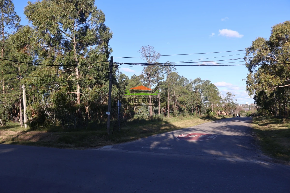 Terreno ID.131/Terreno-en-venta-en-excelente-ubicaci - Terreno en venta en excelente ubicación ideal para proyecto inmobiliario.