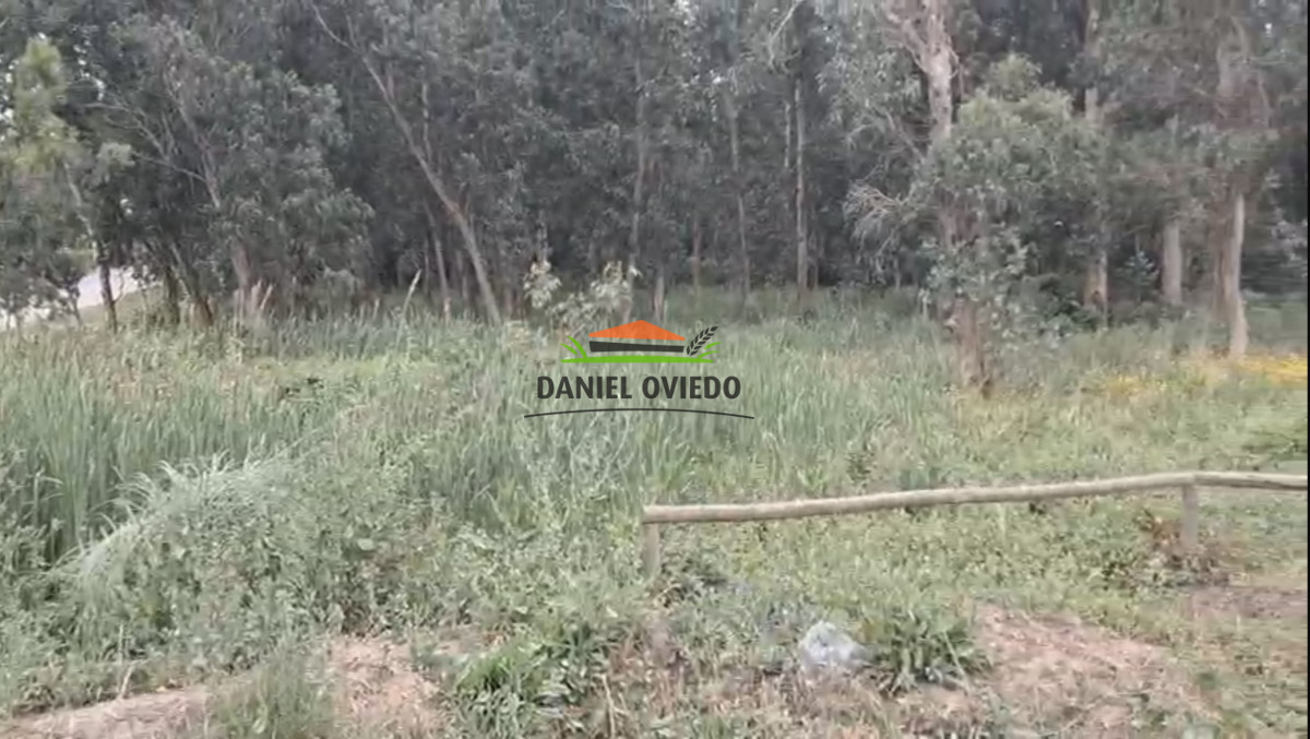 Terreno ID.326/Gran-terreno-en-venta-en-Luis-Sambucetti,-El-Tesoro. - Gran terreno en venta en Luis Sambucetti, El Tesoro.