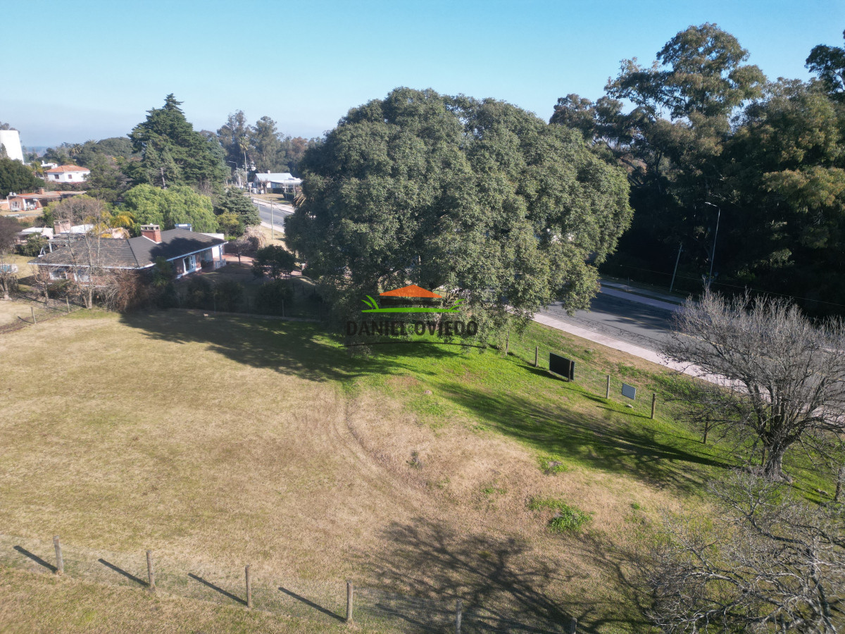 Terreno ID.234/Excelente-terreno-y-ubicación-sobre-Av.-Batlle-y-Ordoñez-en-esquina. - Excelente terreno y ubicación sobre Av. Batlle y Ordoñez en esquina.