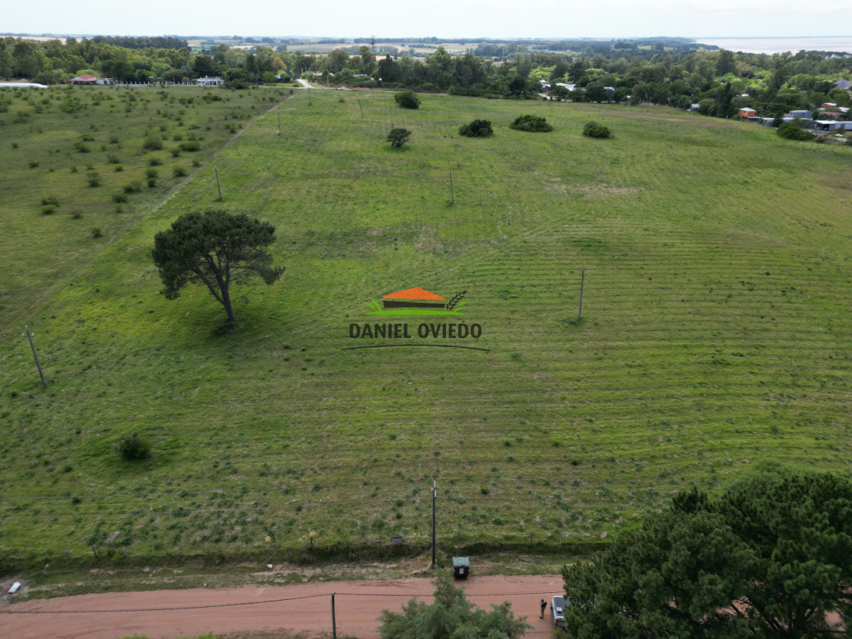 Terreno ID.318/Terreno-de-500-m²-en-entorno-natural---Playa-Fomento - Terreno de 500 m² en entorno natural - Playa Fomento