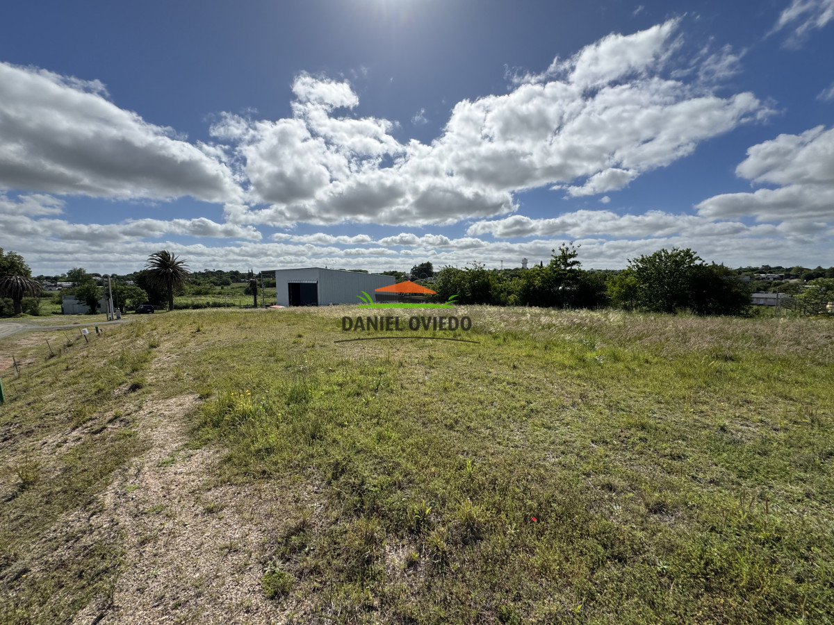 Terreno ID.312/Excelente-terrenos-en-Venta-Nueva-Helvecia - Excelente terrenos en Venta Nueva Helvecia 