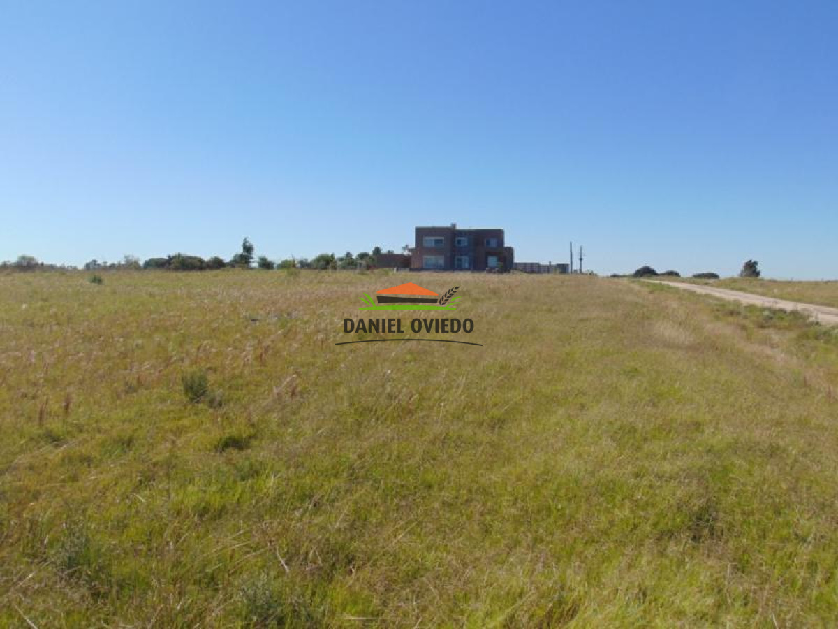 Terreno ID.126 - Fraccionamiento Chacra, terrenos de 1.000 m2 en venta en Real de San Carlos, Colonia.