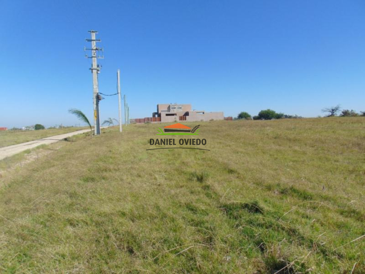 Terreno ID.126 - Fraccionamiento Chacra, terrenos de 1.000 m2 en venta en Real de San Carlos, Colonia.
