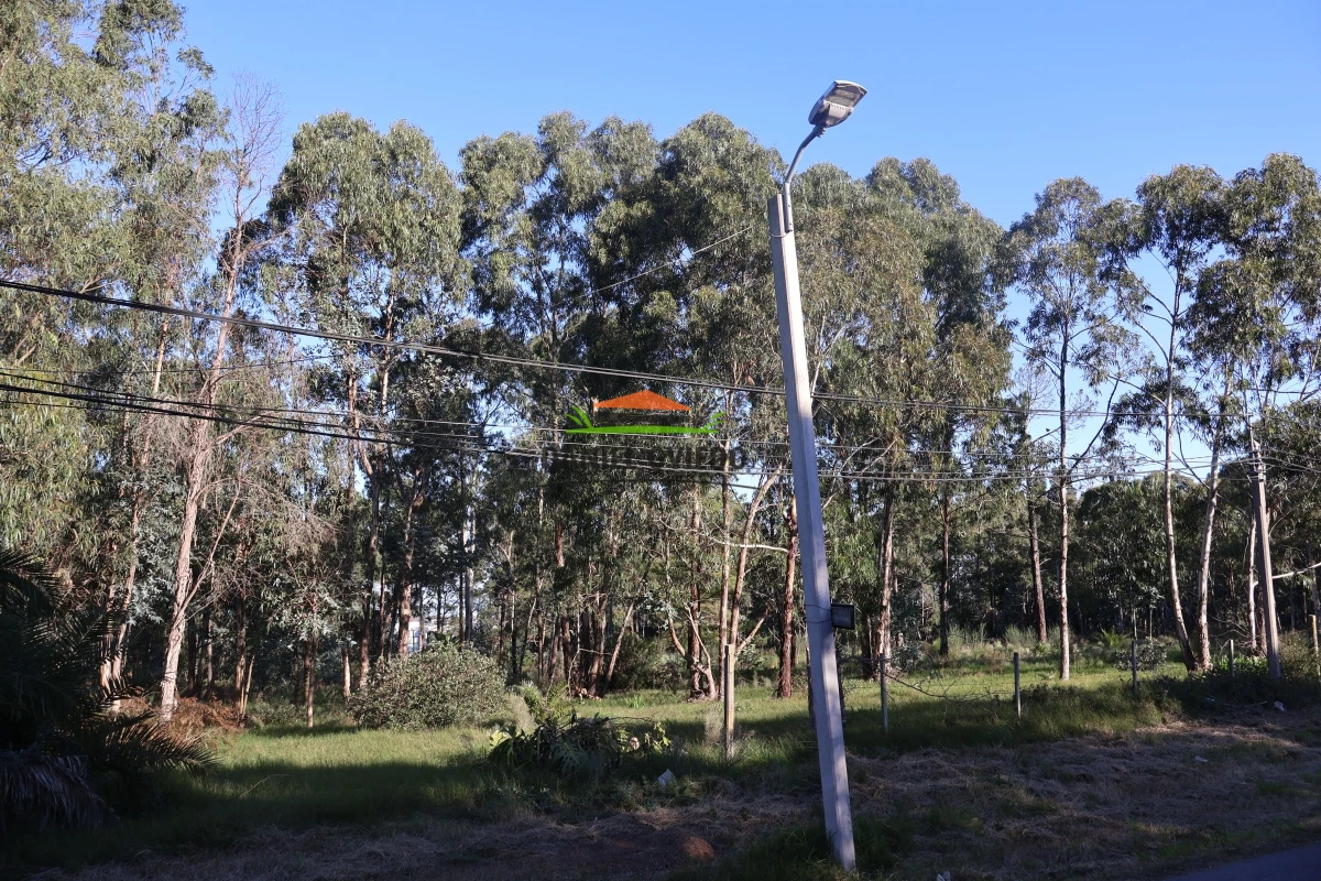 Terreno ID.131/Terreno-en-venta-en-excelente-ubicaci - Terreno en venta en excelente ubicación ideal para proyecto inmobiliario.