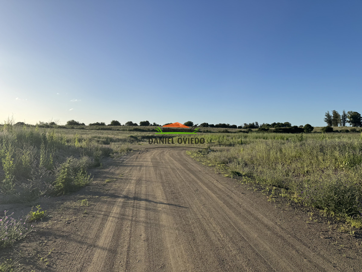 Terreno ID.295/Fraccionamiento-Loma-Verde-II---Nuevos-terrenos-listos-para-construir - Fraccionamiento Loma Verde II - Nuevos terrenos listos para construir