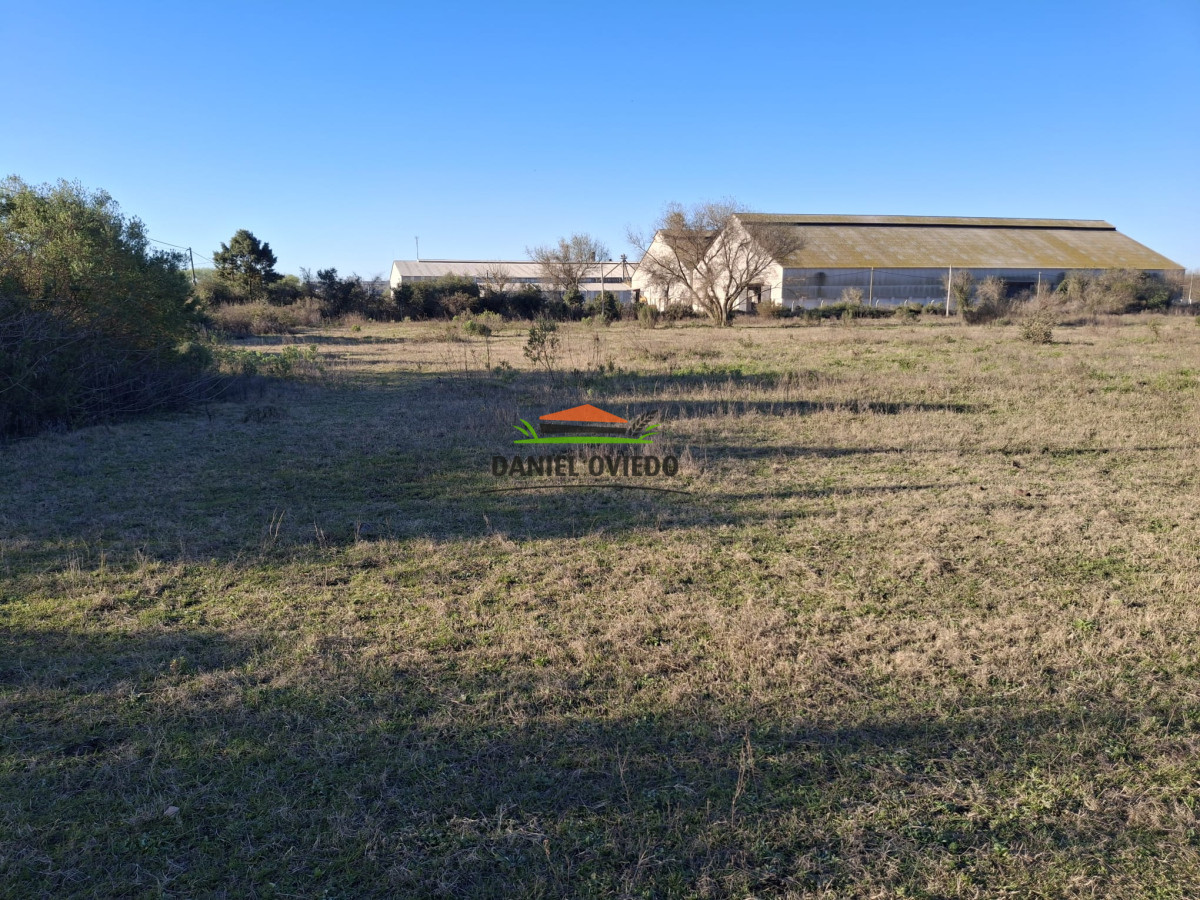 Terreno ID.250/Gran-terreno-en-venta-en-Polo-Industrial-y-Logistico-Nueva-Palmira. - Gran terreno en venta en Polo Industrial y Logistico Nueva Palmira.