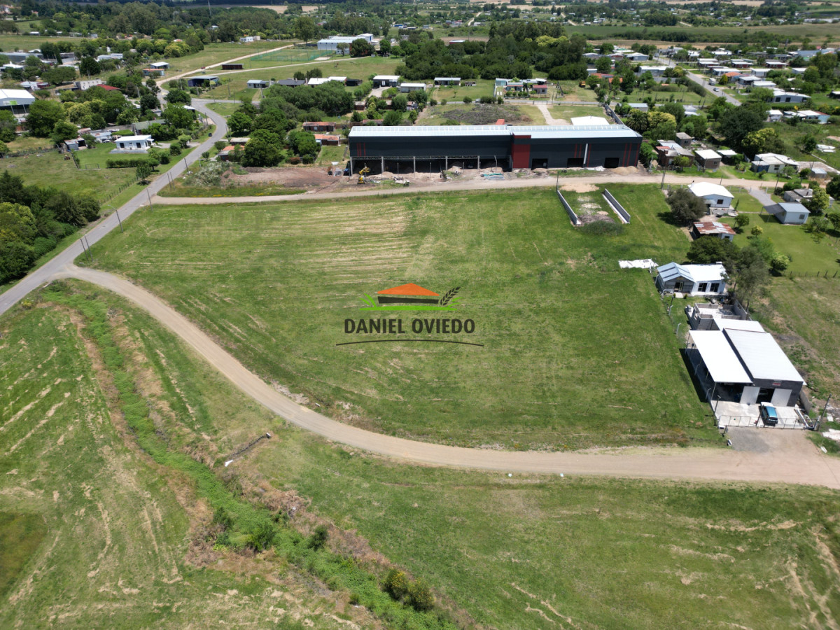 Terreno ID.322/Terreno-Alto-y-Nivelado--600-m²-a-Metros-de-Av.-Batlle-y-Ordóñez - Terreno Alto y Nivelado — 600 m² a Metros de Av. Batlle y Ordóñez