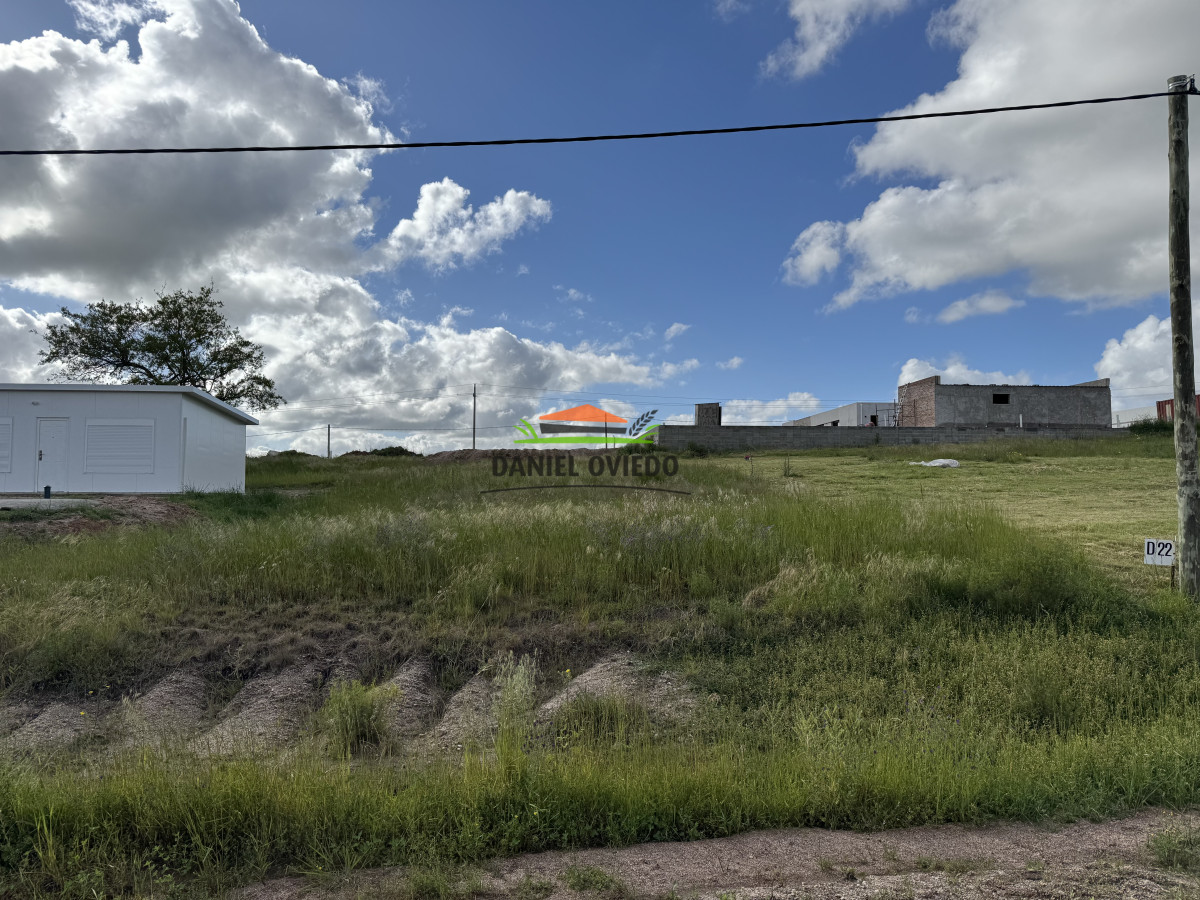 Terreno ID.298/Terreno-con-buen-fondo-y-entorno-verde---Loma-Verde - Terreno con buen fondo y entorno verde - Loma Verde