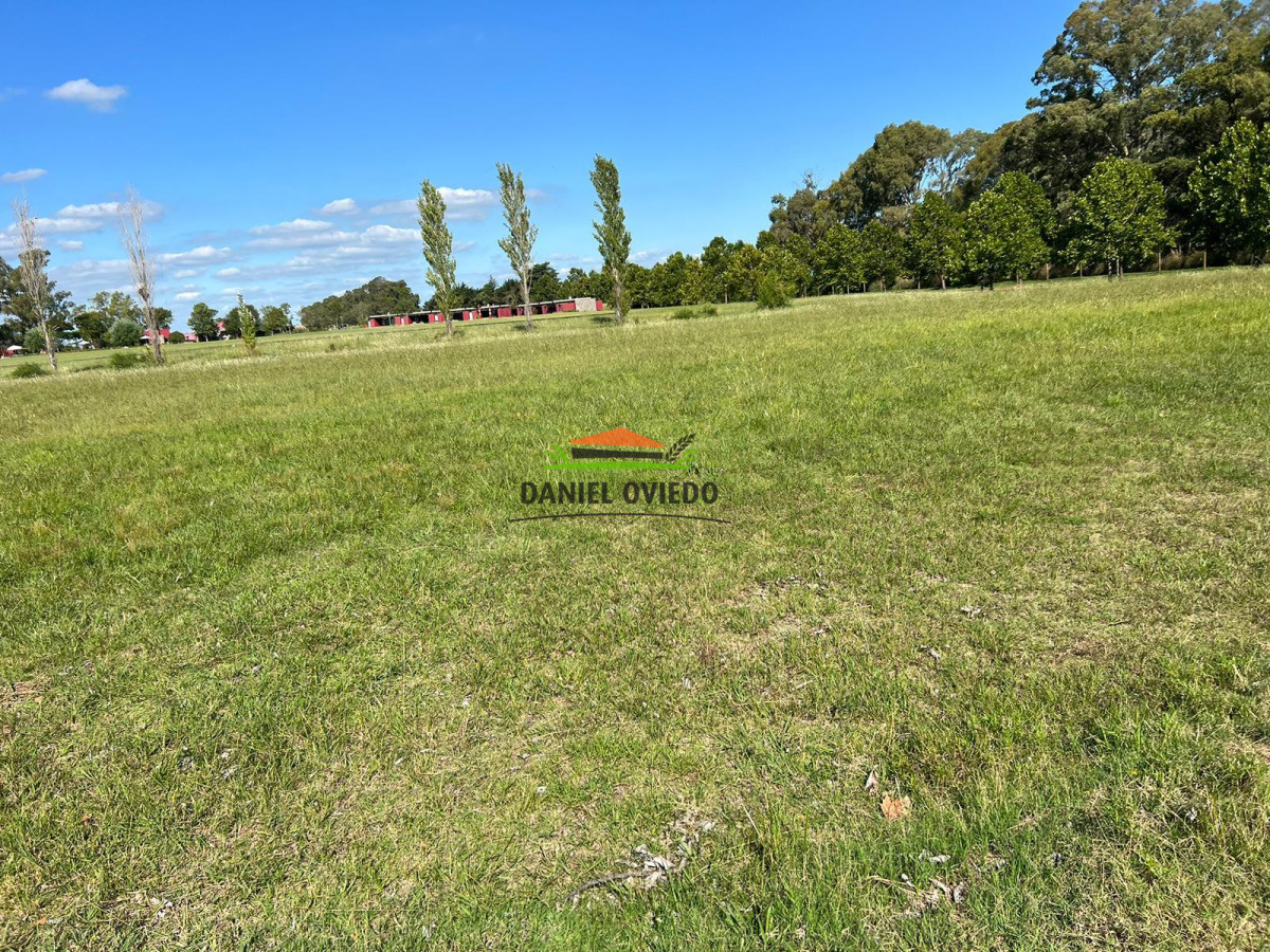 Terreno ID.185 - Oportunidad lote en venta en el Club de Golf Carmelo.