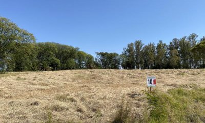 Terreno N   10 en Urbanización Parque Jousten.