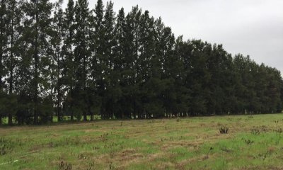 Terreno en venta en Urbanización Las Casuarinas.
