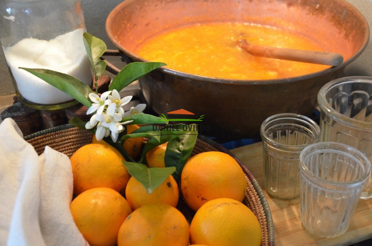 Hotel ID.325 - Espectacular!!! Le Moment Posada Boutique en venta.