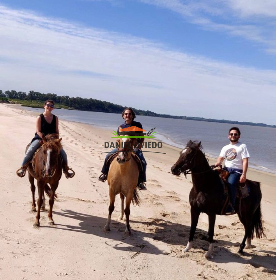 Hotel ID.325 - Espectacular!!! Le Moment Posada Boutique en venta.