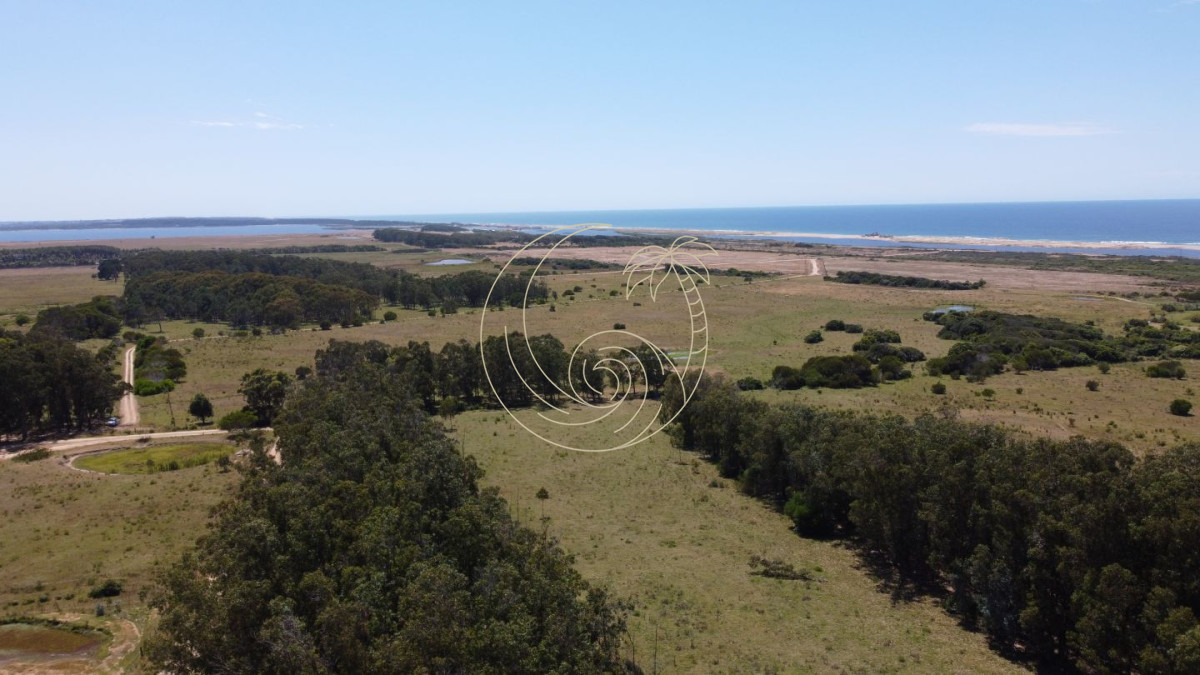 Terreno ID.21093132 - Terreno en venta Jose Ignacio 