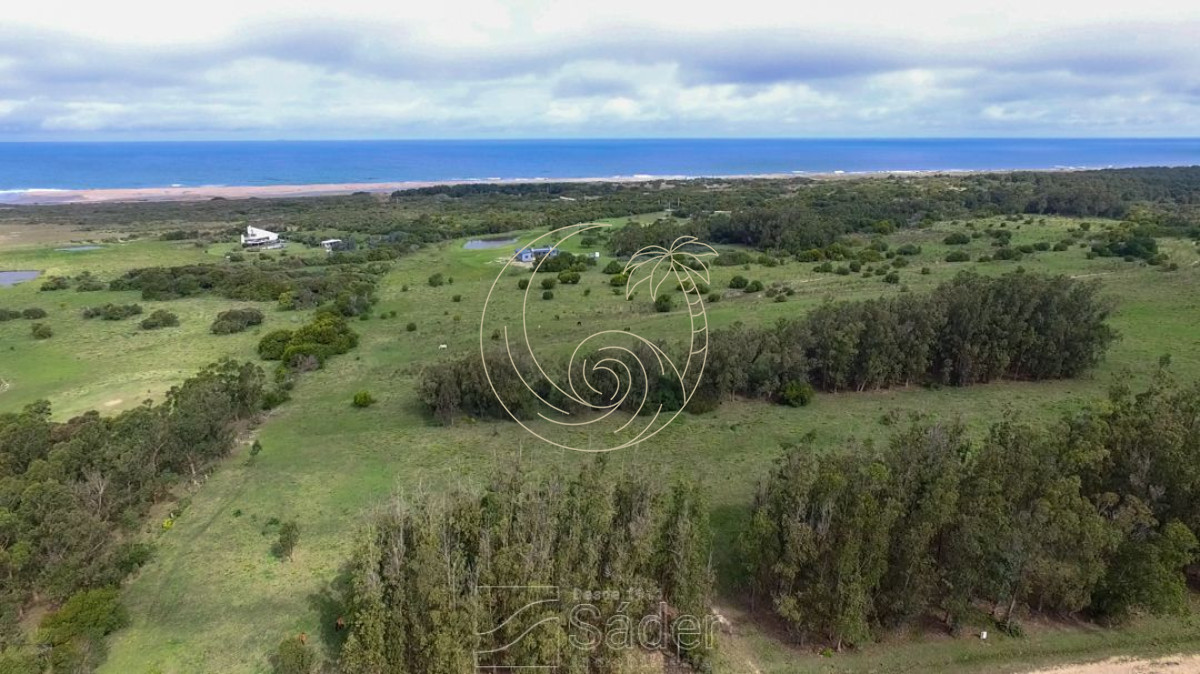 Terreno ID.21093132 - Terreno en venta Jose Ignacio 