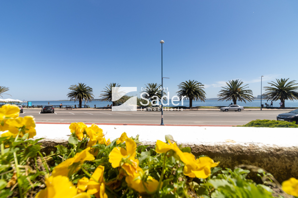 Apartamento ID.3652 - En Península con Suites y Amplio Jardín 