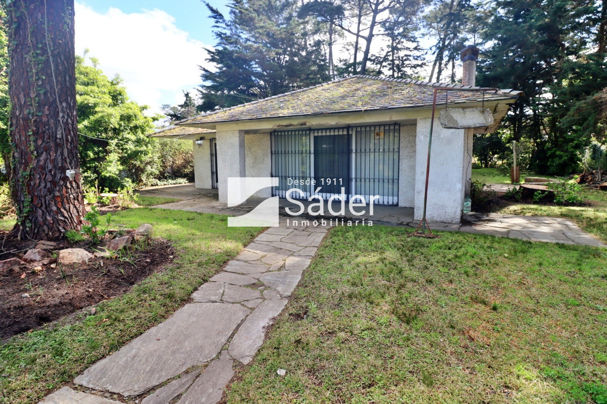Paso de la Cadena - GoPunta - Portal Inmobiliario de Punta del Este - Maldonado