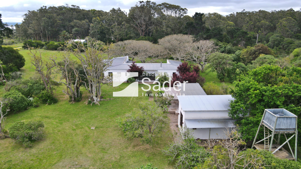 El Caracol - GoPunta - Portal Inmobiliario de Punta del Este - Maldonado