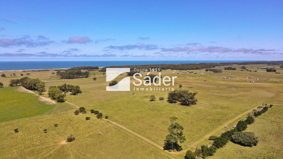 Las Garzas - GoPunta - Portal Inmobiliario de Punta del Este - Maldonado