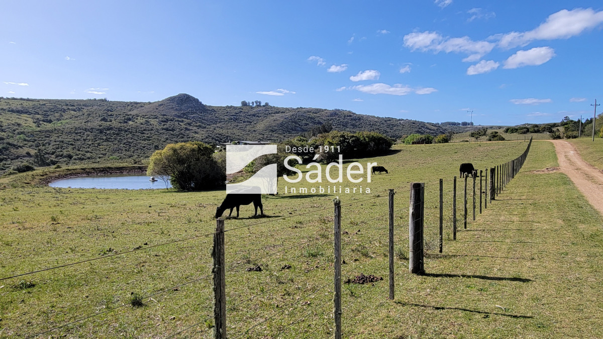 Pueblo Eden - GoPunta - Portal Inmobiliario de Punta del Este - Maldonado
