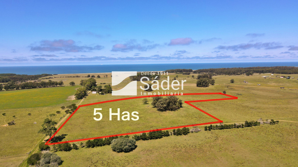 Las Garzas - GoPunta - Portal Inmobiliario de Punta del Este - Maldonado