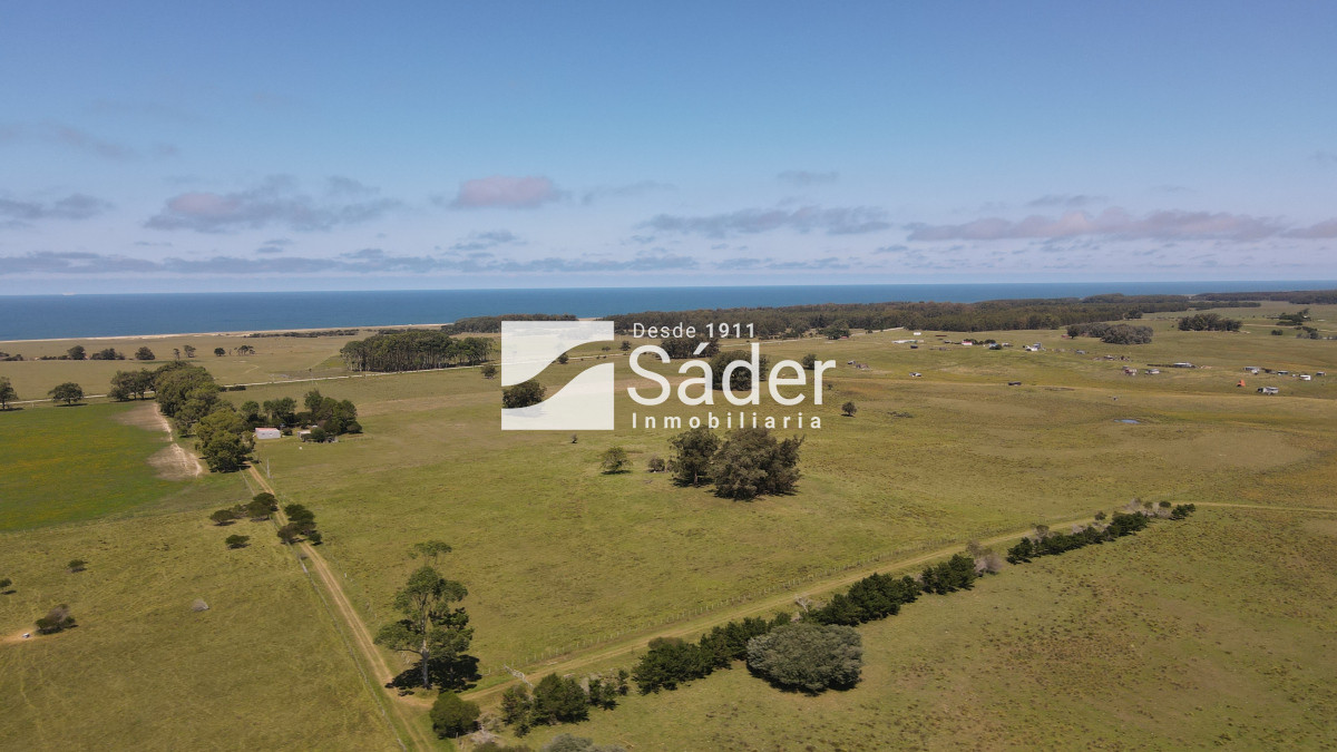 Las Garzas - GoPunta - Portal Inmobiliario de Punta del Este - Maldonado