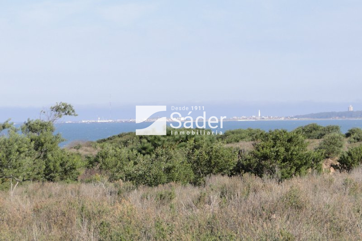 Chacra ID.1161 - Chacra en venta La Pedrera 