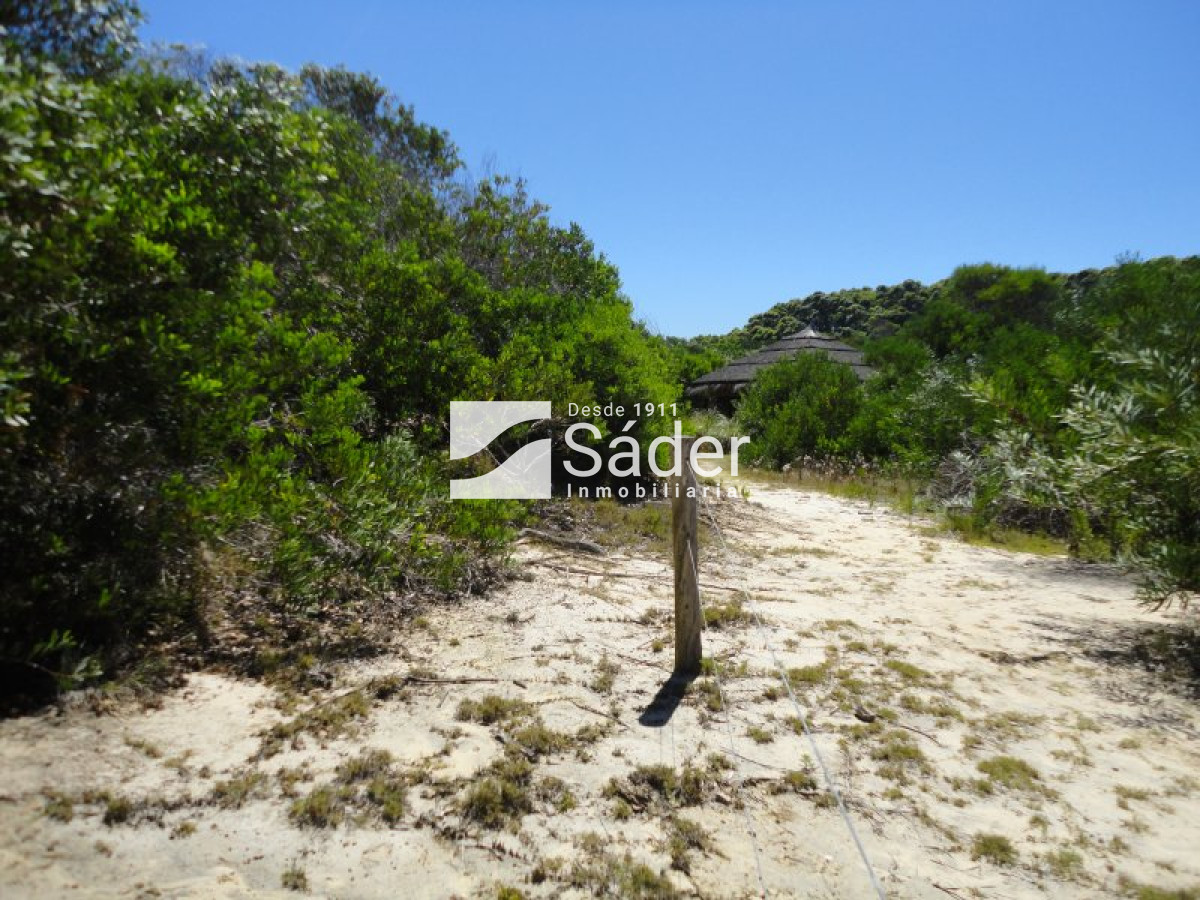 Chacra ID.1161 - Chacra en venta La Pedrera 