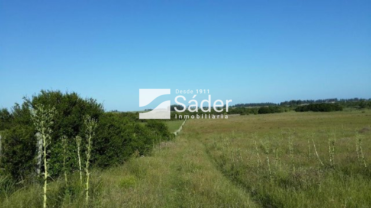 Garzon - GoPunta - Portal Inmobiliario de Punta del Este - Maldonado